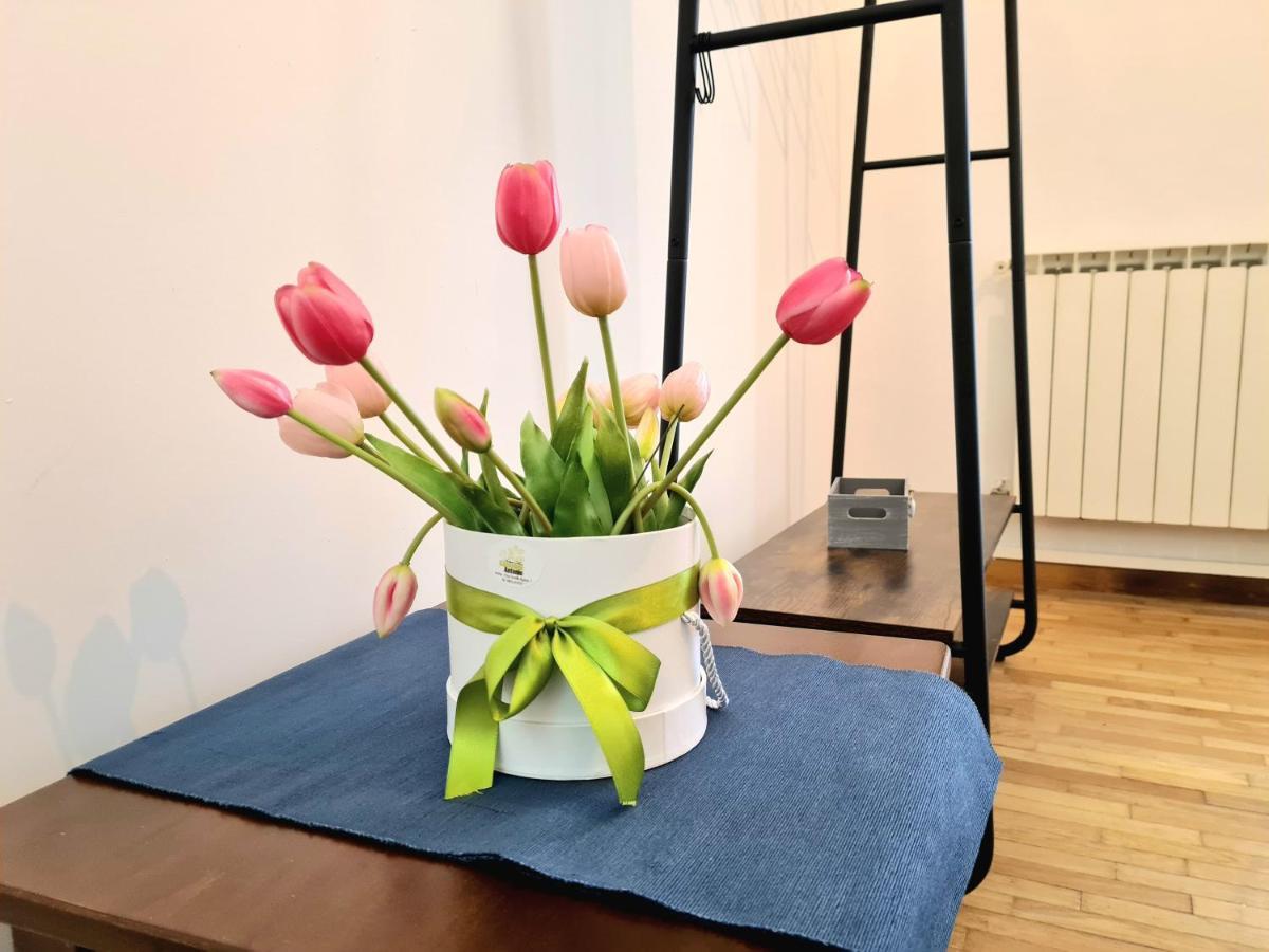 Apartamento Flavel Colosseo *